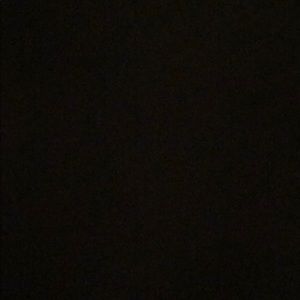 Meet your Posher, Bridget